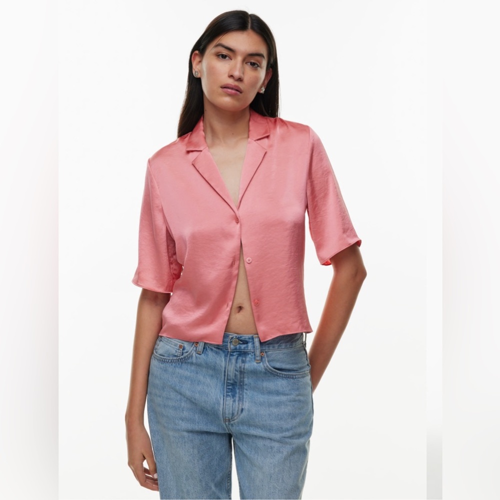 Aritzia Beso Satin Blouse